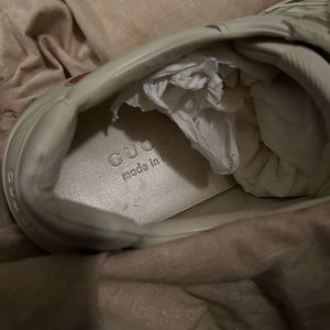 Gucci sneakers